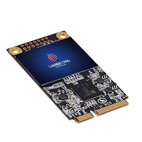 Gamerking SSD msata 256GB interne Solid State Drive Hochleistungs-Festplatte für Desktop-Laptop SATA3 6Gb/s Mini PC (256GB, MSATA) von GAMERKING