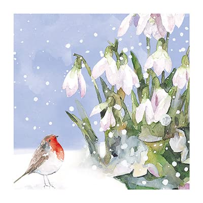 GBCC Ling Design Weihnachtskarten "Rotkehlchen und Schneeglöckchen", 6 Karten à 1 illustriertes Design, von The Great British Card Company, mehrfarbig, 141 x 141 mm, 6 Stück GBCC Ling Design Weihnachtskarten "Rotkehlchen und Schneeglöckchen", 6 Karten à 1 illustriertes Design, von The Great British Card Company, mehrfarbig, 141 x 141 mm, 6 Stück von GBCC