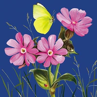 The Almanac Gallery Geburtstagskarte, blanko, für Männer und Frauen, Motiv: "Bright Botanicals" Schmetterling, Marienkäfer und Blume, umweltfreundlich und recycelbar von GBCC
