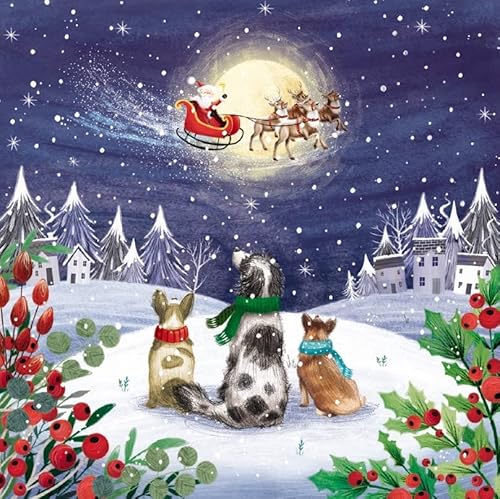The Great British Card Company Weihnachtskarten, Motiv: Hunde, die den Schlitten des Weihnachtsmanns beobachten, umweltfreundlich und recycelbar, 10 Stück The Great British Card Company Weihnachtskarten, Motiv: Hunde, die den Schlitten des Weihnachtsmanns beobachten, umweltfreundlich und recycelbar, 10 Stück von GBCC