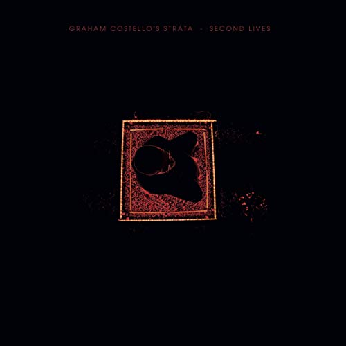 Second Lives [Vinyl LP] von membran