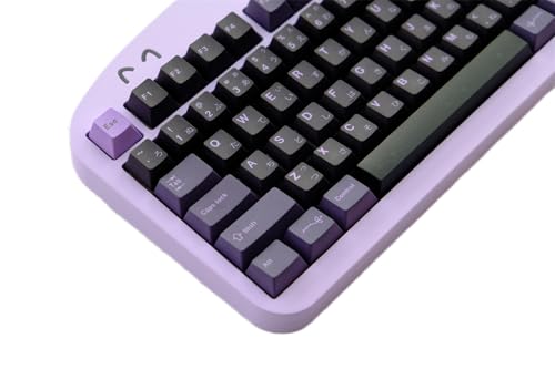 GEKUCAP PBT-Tastenkappen, Kirschprofil, japanisches Tastenkappen-Set, 129 Tasten, Farbstoffsublimation, benutzerdefinierte Tastenkappen für Cherry MX Gateron Kailh Switches mechanische Tastaturen von GEKUCAP