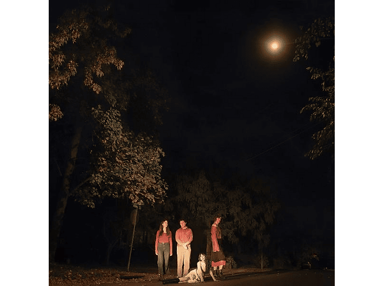 Ophelias - Spring Grove (LP (analog)) von GET BETTER RECORDS