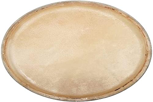 Club Salsa F847251 Congafell von GEWA