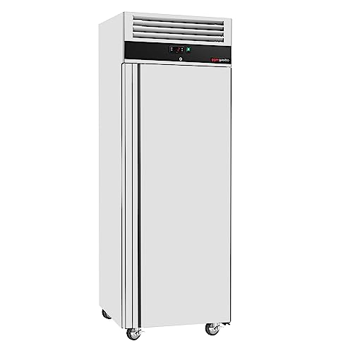 GGM Gastro Gefrierschrank ECO - 400 Liter - 420 W - Edelstahl-Innentür - 3 Einlegeböden - automatische Abtaufunktion - energieeffizient - Silber - TG400T1ND von GGM Gastro