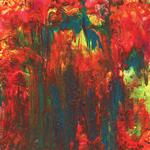 Rainbow Party [Vinyl Single] von GHOSTLY INT'L
