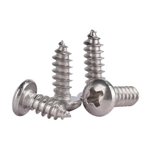 GIAYEU Selbstbohrende Schrauben aus Metall, selbstschneidende Kreuzschlitzschrauben mit Linsenkopf aus Edelstahl 304 M1-M3,5, 20 Stück(M2x12mm) von GIAYEU