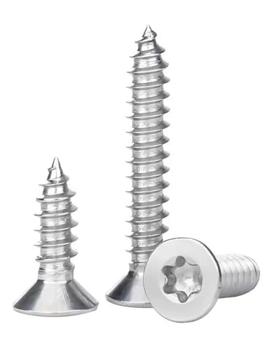 GIAYEU Selbstbohrende Schrauben aus Metall, selbstschneidende Torx-Schrauben aus Edelstahl 304, Flachkopf, M2-M6, 20 Stück(M2.6x10mm) von GIAYEU