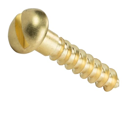 Selbstbohrende Schrauben aus Metall, 20 Stück M2-M5 Messing-Schlitzschrauben mit Rundkopf und Holzschrauben mit Fasenkopf, selbstschneidend(M5 x 20 mm (20 Pcs)) von GIAYEU