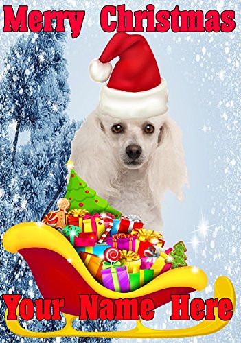 Pudel Hund Santa Schlitten nnc250 Humorvolle Weihnachten Karte A5 personalisierbar Karten geschrieben von uns Geschenke für alle 2016 von Derbyshire UK von GIFTSFORALL
