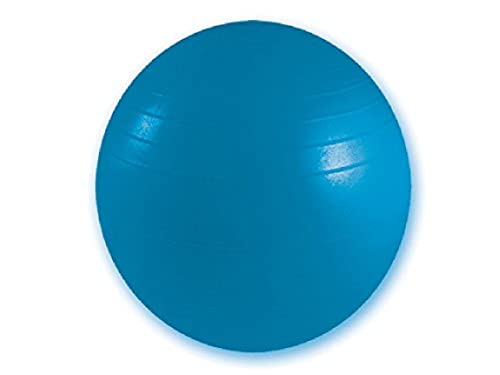 GIMA - Widerstandsball, Gymnastikball, für Rehabilitation, Dynamisches Training, Yoga, Pilates, Bürostuhl, Farbe Blau, Durchmesser 75 cm, Widerstandsstufe 136 kg GIMA - Widerstandsball, Gymnastikball, für Rehabilitation, Dynamisches Training, Yoga, Pilates, Bürostuhl, Farbe Blau, Durchmesser 75 cm, Widerstandsstufe 136 kg von GIMA