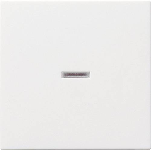 GIRA Abdeckung Kontrollschalter System 55, Standard 55, E2, Event, Event Klar, Event Opak, Esprit, C GIRA Abdeckung Kontrollschalter System 55, Standard 55, E2, Event, Event Klar, Event Opak, Esprit, C von GIRA