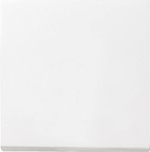 GIRA Abdeckung Wechselschalter, Ausschalter, Kreuzschalter System 55, Standard 55, E2, Event, Event GIRA Abdeckung Wechselschalter, Ausschalter, Kreuzschalter System 55, Standard 55, E2, Event, Event von GIRA