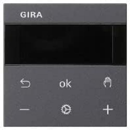 GIRA RTR Display 539328 GIRA RTR Display 539328 von GIRA