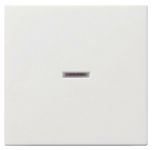 Gira 029003 Wippe Kontrollschalter RG Gira 029003 Wippe Kontrollschalter RG von GIRA
