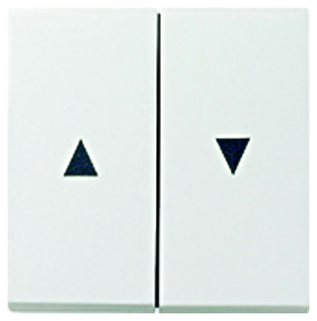 Gira 029403 Wippe Jalousieschalter RG von GIRA