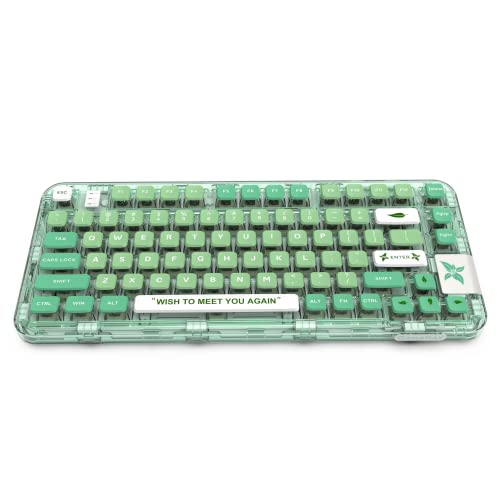GK GAMAKAY GK75 75% RGB Gasket Mechanical Keyboard (Mintgrün) von GK GAMAKAY