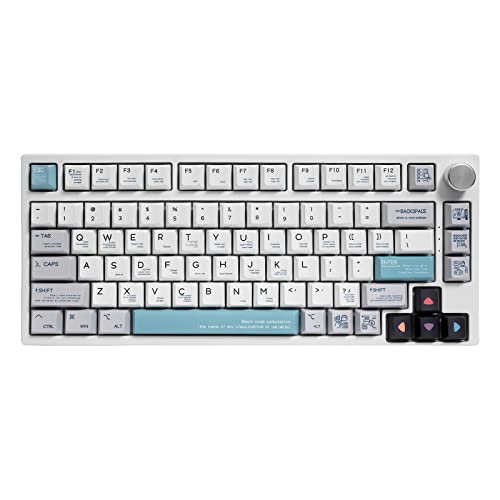 GK GAMAKAY TK75 75% Wireless Mechanical Keyboard with Knob Bluetooth 5.0/2.4GHz/Wired Connection, Hot Swappable Custom RGB Programmable Gaming Keyboard with PBT Keycap (Gateron Yellow Switch) von GK GAMAKAY