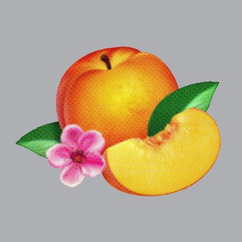 Bankrupt! [Vinyl LP] von GLASSNOTE