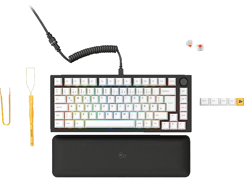 GLORIOUS GAMING GMMK Pro Black Slate 75% TKL, Gaming Tastatur, kabelgebunden, Schwarz (Barbone), Weiß (Keycaps) von GLORIOUS GAMING