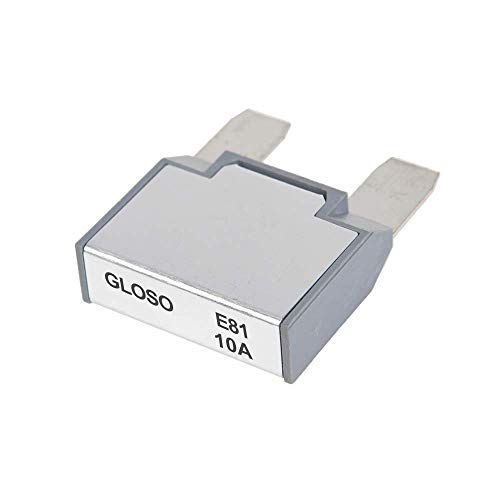 GLOSO E81 T1 Automatisches Zurücksetzen Maxi Klinge Schutzschalter(10A, 1PACK, E81) von GLOSO