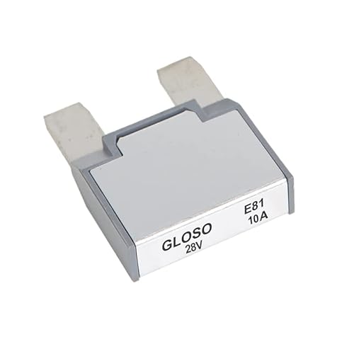 GLOSO E81 T1 Automatisches Zurücksetzen Maxi Klinge Schutzschalter (10A, 1PACK, E81,28vdc) von GLOSO