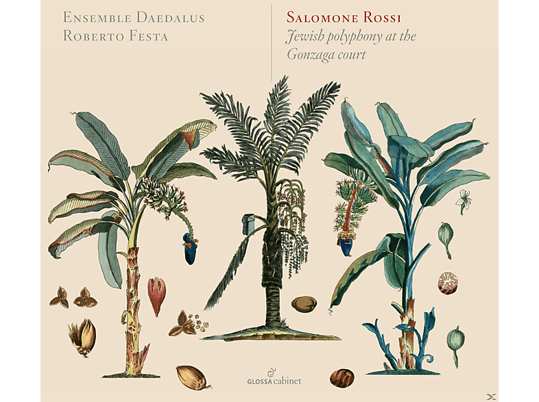 Roberto Festa, Ensemble Daedalus - Jewish polyphony at the Gonzaga Court (CD) von GLOSSA