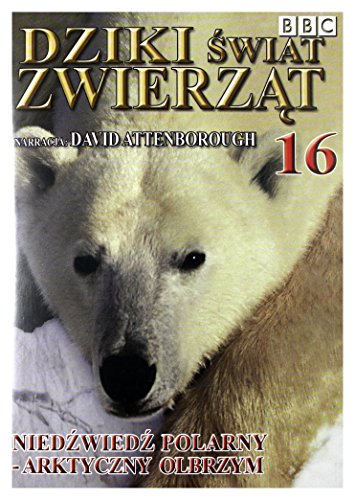 Dziki Ĺwiat Zwierząt 16: NiedĹşwiedĹş Polarny - Arktyczny Olbrzym (BBC) [DVD] (Keine deutsche Version) von GM Distribution