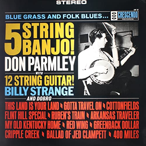 5 string banjo (GNP 98 LP) von GNP
