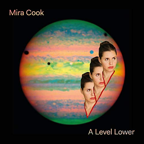 A Level Lower [Vinyl LP] von Gold Robot Records