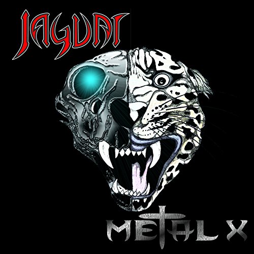 Metal X / Run Ragged Metal X / Run Ragged von ZYX Music