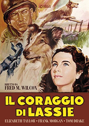 Dvd - Coraggio Di Lassie (Il) (1 DVD) von GOLEM VIDEO