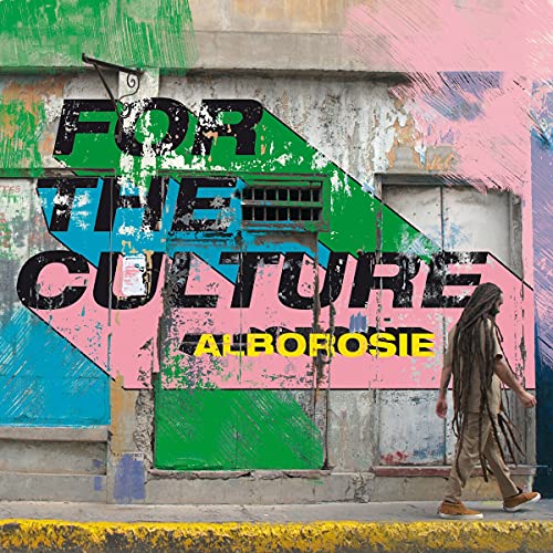 For the Culture (Lp) [Vinyl LP] von GOODTOGO-GREENSLEEVE