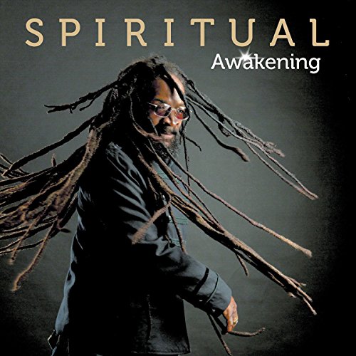 Awakening [Vinyl LP] von Vp Records
