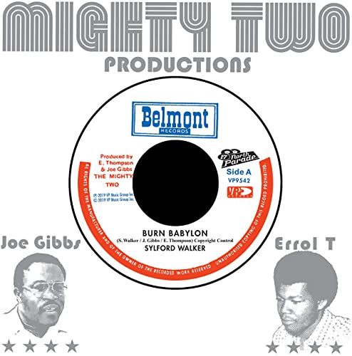 Burn Babylon/Burning Version [Vinyl Single] von Vp Records