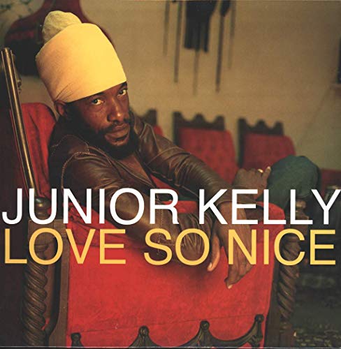 Love So Nice [Vinyl LP] von Vp Records