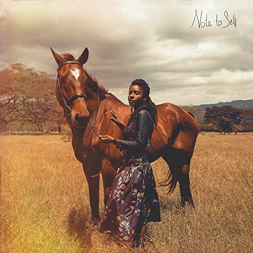 Note to Self (Lp) [Vinyl LP] von Vp Records