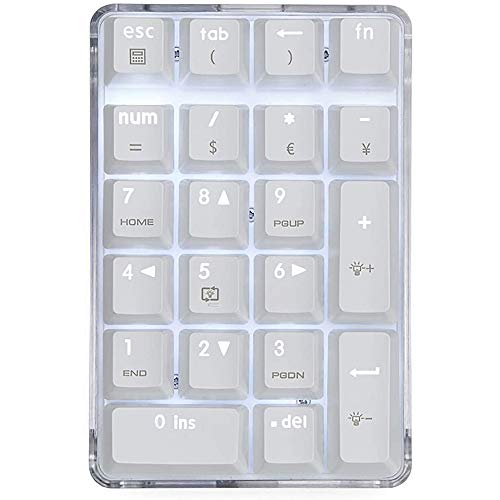 GOURIDE Mechanische Ziffernblock Switch Wired Gaming Keypad Crystal Case Weiß Hintergrundbeleuchtung 21 Tasten Mini Numpad Keypad von GOURIDE