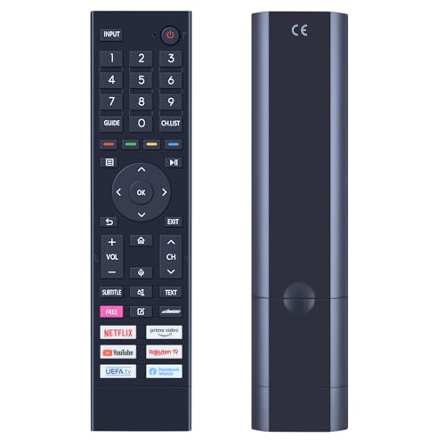 Voice Ersatz Fernbedienung ERF3B80H für Hisense TV 43A7GQ 55E76GQ 43A6G 50E76GQ 50A53FEVS 65A53FEVS 50E76GQ A20490T 50A7GQ 50A7GQ 43A6BG 50A6BG 55E76GQ 58A6G Hisense Fernbedienung von GOUYESHO