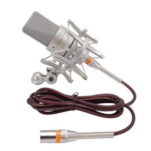 Kondensatormikrofon, Stabiles Signal 3 -Pin XLR -Schnittstelle Zink Legierung Studio XLR Mikrofon Zum Podcasting (Gold) von GOWENIC