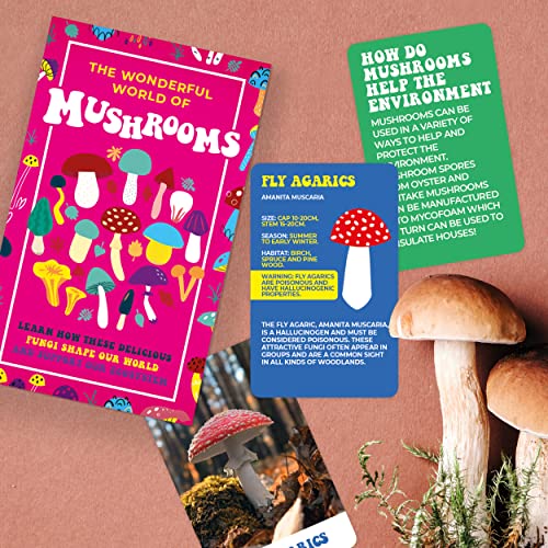 Gift Republic - The Wonderful World of Mushrooms Karten-Set von GR Gift Republic