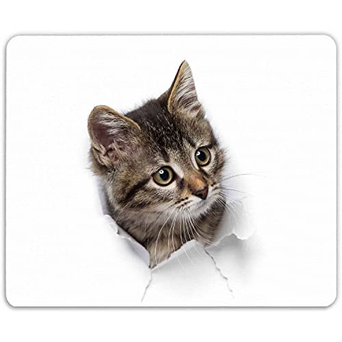 GRAVURZEILE Bedrucktes Mauspad - im Katze Design - Mousepad für Büro & Gaming - rutschfeste Gummi-Unterseite - 23 x 19 cm - strapazierfähig - Geschenk für Kinder & Gamer von GRAVURZEILE