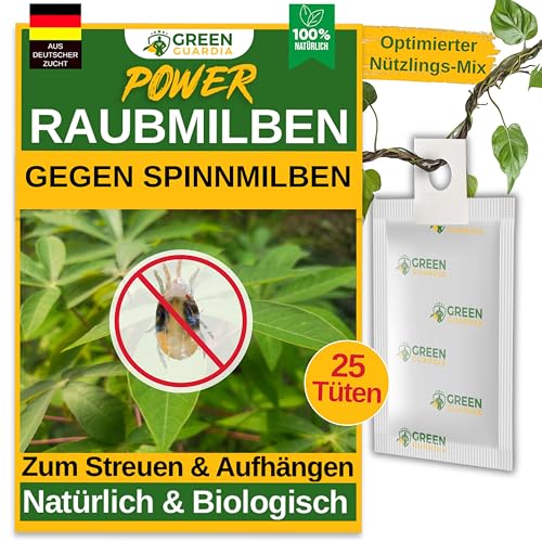 GREEN GUARDIA Power Raubmilben gegen Spinnmilben – 25 Tüten - Biologisches Mittel zur effektiven Spinnmilben Bekämpfung für Zimmer- & Zierpflanzen sowie Canna. – chemiefreie Mittel GREEN GUARDIA Power Raubmilben gegen Spinnmilben – 25 Tüten - Biologisches Mittel zur effektiven Spinnmilben Bekämpfung für Zimmer- & Zierpflanzen sowie Canna. – chemiefreie Mittel von GREEN GUARDIA