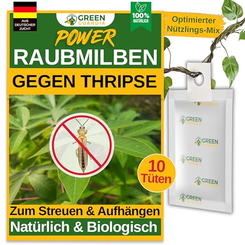 GREEN GUARDIA Power Raubmilben gegen Thripse – 10 Tüten -Biologisches Mittel zur effektiven Thripse Bekämpfung für Zimmer- & Zierpflanzen sowie Canna. – umweltfreundlich,chemiefreie Mittel GREEN GUARDIA Power Raubmilben gegen Thripse – 10 Tüten -Biologisches Mittel zur effektiven Thripse Bekämpfung für Zimmer- & Zierpflanzen sowie Canna. – umweltfreundlich,chemiefreie Mittel von GREEN GUARDIA