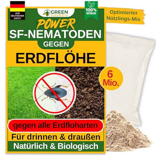 GREEN GUARDIA Super SF-Nematoden gegen Erdflöhe – 6 Mio. für 12m² - Biologisches Mittel zur effektiven Ameisen Bekämpfung – Umweltfreundlich, chemiefrei, einfache Anwendung GREEN GUARDIA Super SF-Nematoden gegen Erdflöhe – 6 Mio. für 12m² - Biologisches Mittel zur effektiven Ameisen Bekämpfung – Umweltfreundlich, chemiefrei, einfache Anwendung von GREEN GUARDIA