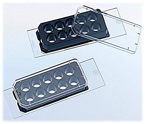 GREINER BIO-ONE 543079 CELLview slide 10 puits, standard, stérile, sous emb/5 (Pack de 45) von GREINER BIO-ONE