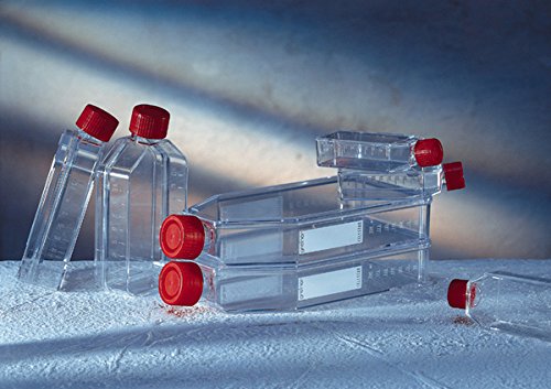 Greiner Bio-One CELLSTAR 661160 CELLSTAR Polystyrol Standard Cell Culture Flask 650 ml Volumen TC behandelt, steril, Hi-Profile, Cantneck mit rotem Steckverschluss Schraubverschluss (40 Stück) von GREINER BIO-ONE