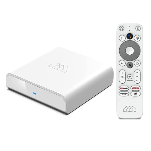 HOMATICS Android TV Box 4K, Android Box 11.0 RAM 2G ROM 16G Unterstützt HDR WiFi5 Dolby Audio, Chromecast, Hulu, Prime Video, Netflix, Disney+ Smart Streaming Media Player mit Sprachfernbedienung von GREVA