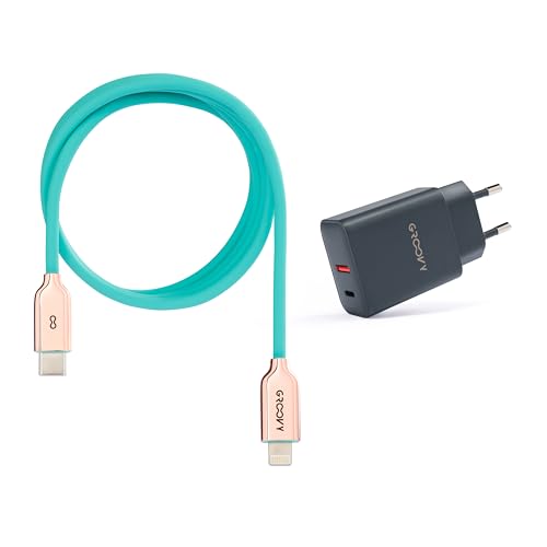 Ladegerät USB-A + USB-C 20 W mit Apple-Kabel 1 Meter | Schnellladung 3 A, farbiges Flüssigsilikon, kompatibel mit iPhone und iPad (Wasser) von GROOVY