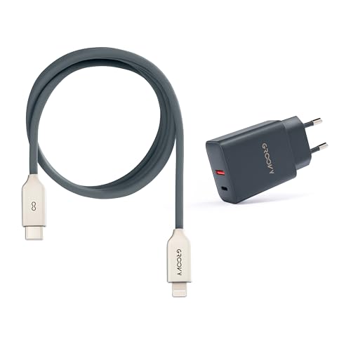 Ladegerät USB-A + USB-C 20 W mit Apple-Kabel 1 Meter | Schnellladung 3 A, farbiges Flüssigsilikon, kompatibel mit iPhone und iPad (grau) von GROOVY